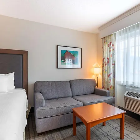 Best Western Plus University Park Inn & Suites-3
