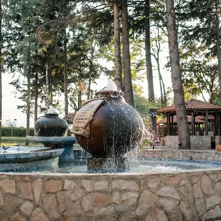 Hotel Drim & Spa-3