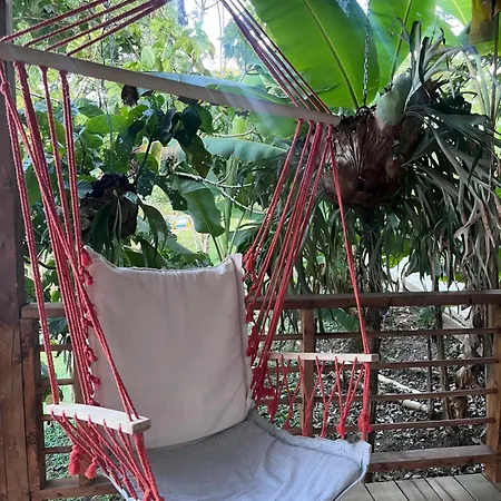 Eco Hotel La Italia- Hotel Venecia, Antioquia-2