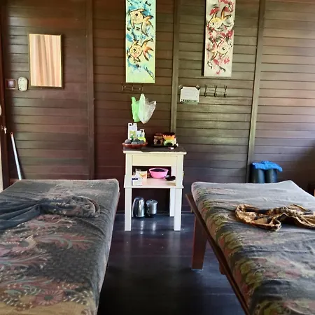 The Beach Bungalows & Turtle Sanctuary-3