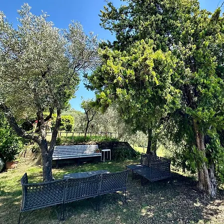 Agriturismo Uliveto Bartolomeo-3