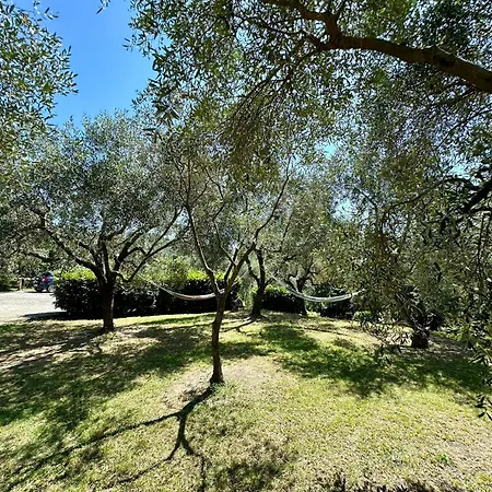 Agriturismo Uliveto Bartolomeo-2