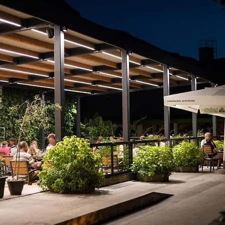Hotel Alp-2