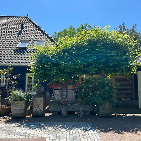 Eersel's Groen-2