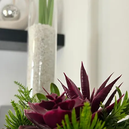 B&B Crisalide-3
