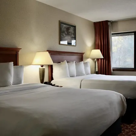 Carlton Lodge Hotel And Suites-3