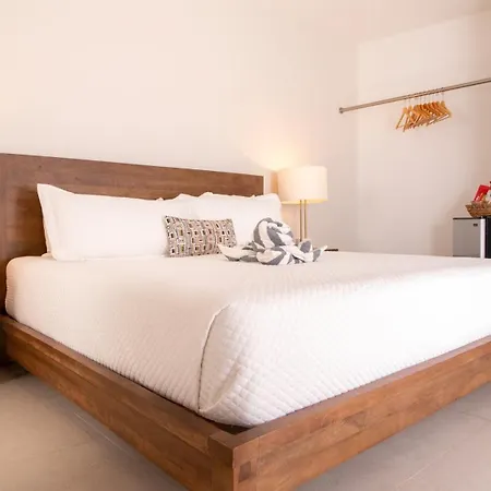 Lazy Parrot Inn-3