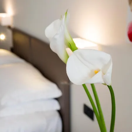 Hotel Plaza-2