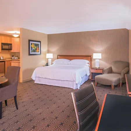 Sheraton Springfield Monarch Place Hotel-3