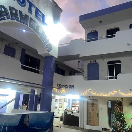 Hotel Carmelina-3