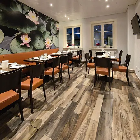 Hotel Seerose Lindau Bodensee-2