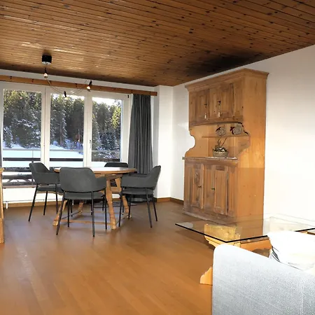 Hotel Alpina Parpan-3