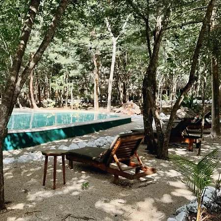 Hotel Boutique Cenote Secreto Maya-3