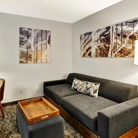 Springhill Suites By Marriott Columbia Fort Meade Area-2
