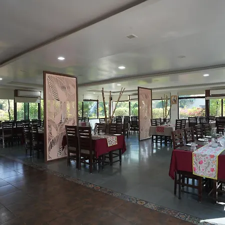 Astroport Sariska Treetop By Eight Continents-3