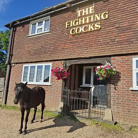 The Fightingcocks-2