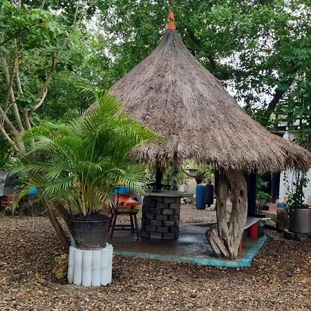 El refugio del tiburón-2