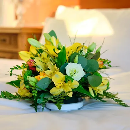 Hotel Stekl-3