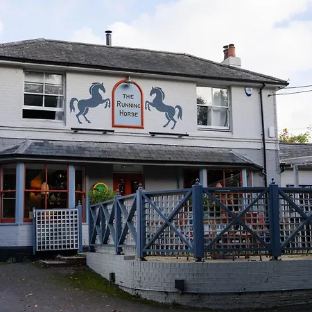 The Running Horse-3
