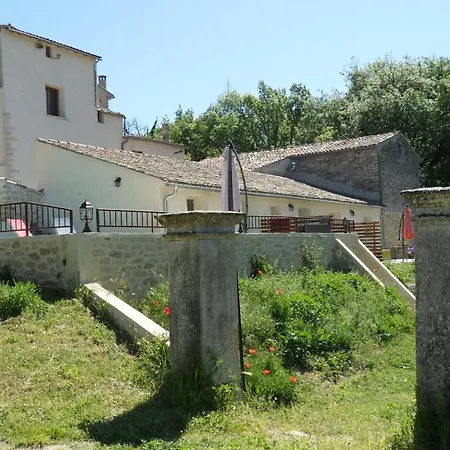 Les Ânes de Forcalquier-3