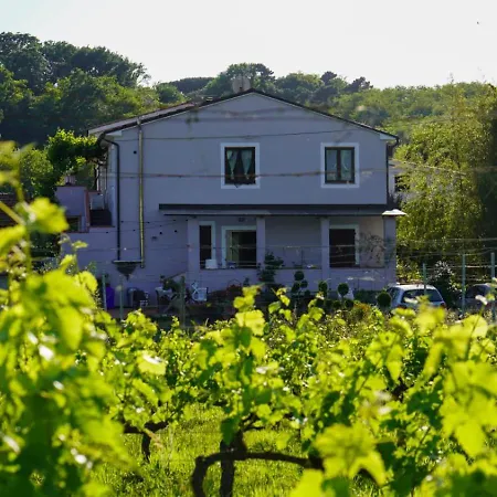 Wine House-2