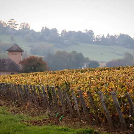 Le Domaine de Moroges-2