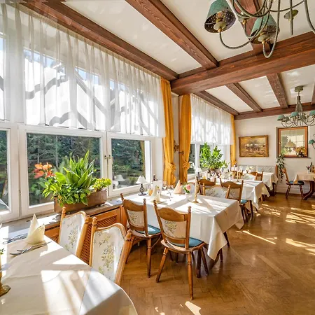 Hotel Langenwaldsee-2