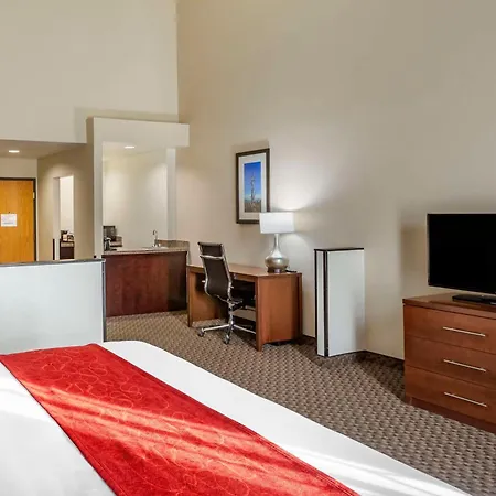 Comfort Suites Ogden Conference Center-2