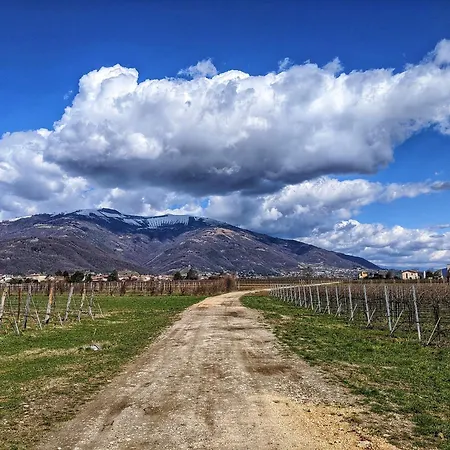 B&B Terre Di Bea-3