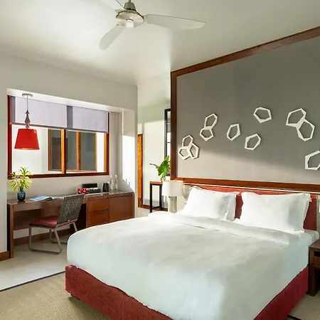 Niva Dhigali Maldives - A Premium All-Inclusive Resort-3