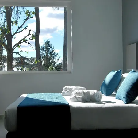 Tiber Suite-2