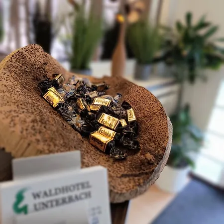 Waldhotel Unterbach-2