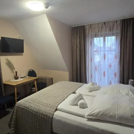 Hotel-Gasthof Alter Ritter-3