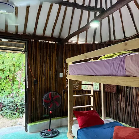 Tree House Tulum-3