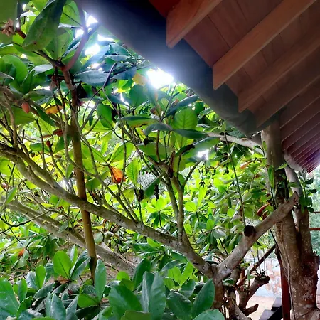 Afro Beach Eco Resort Butre-3