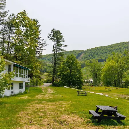 The Cozy Cat Motel At Catamount-3