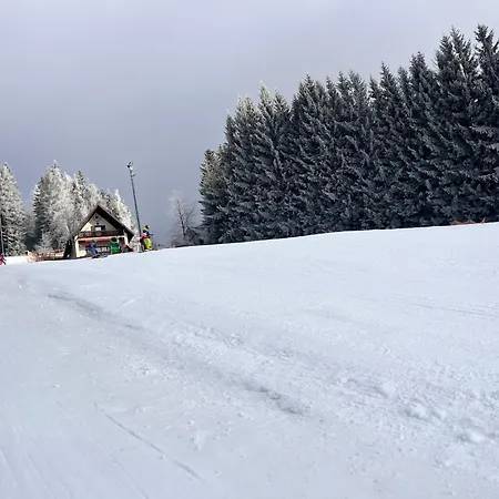 Seegasthof Breineder - Familien&Seminarhotel-2