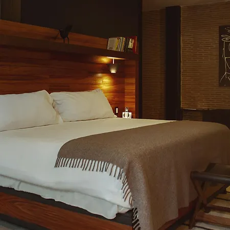 Elena De Cobre, Leon, A Member Of Design Hotels-3