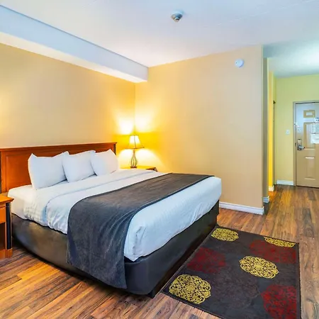 Cedar Meadows Resort & Spa, An Ascend Collection Resort-2
