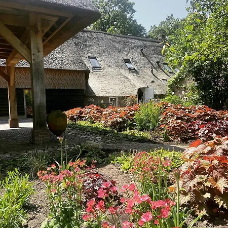 De Vijf Suites-3