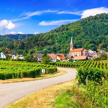 Hotel Colmar Vignes Eguisheim-2