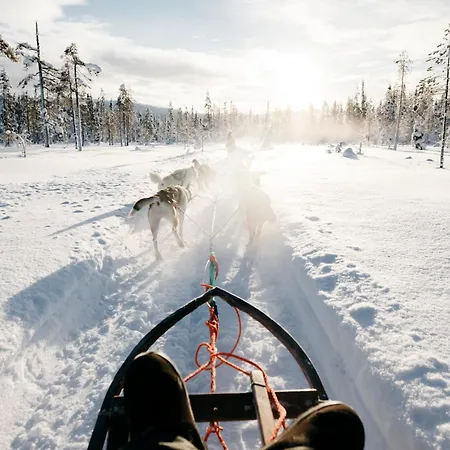 Lapland Hotels Pallas-2