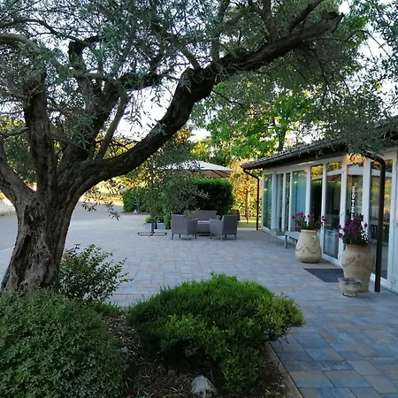 La Vecchia Quercia-2