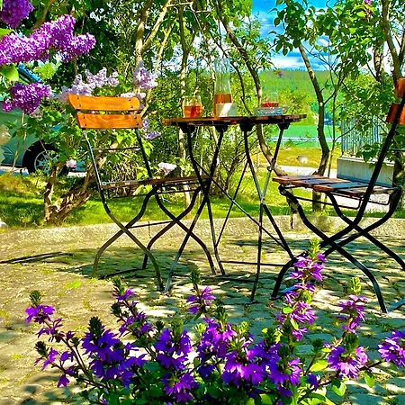 Sarpsborg Apartments - Utne Camping-3