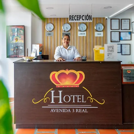Hotel Avenida 3 Real-3