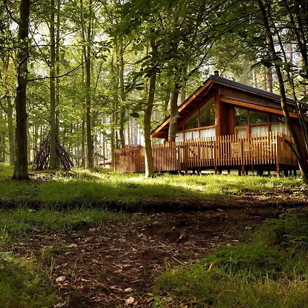 Sherwood Forest Cabins - Forest Holidays-2