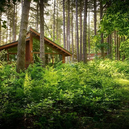 Sherwood Forest Cabins - Forest Holidays-3