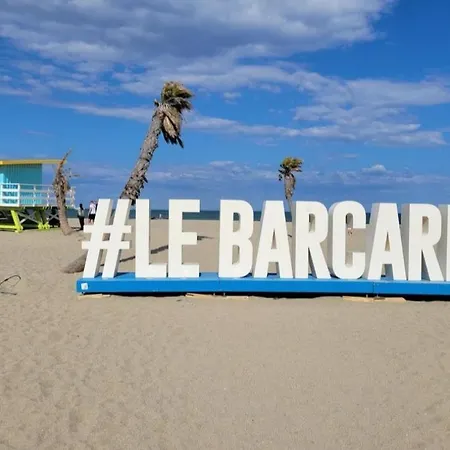 Ile des pêcheurs Barcarès joli mas rénové dispo dès le 19 septembre-3