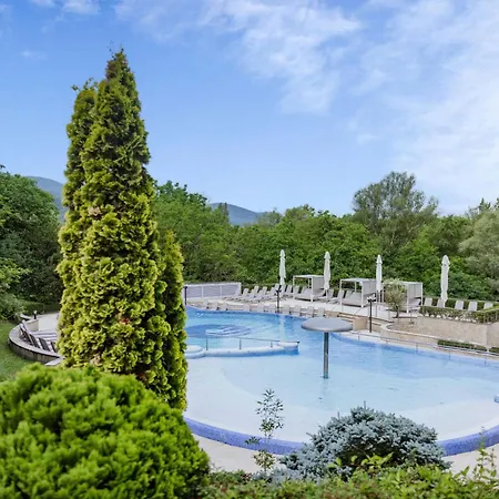 Thermal Hotel Visegrad-2