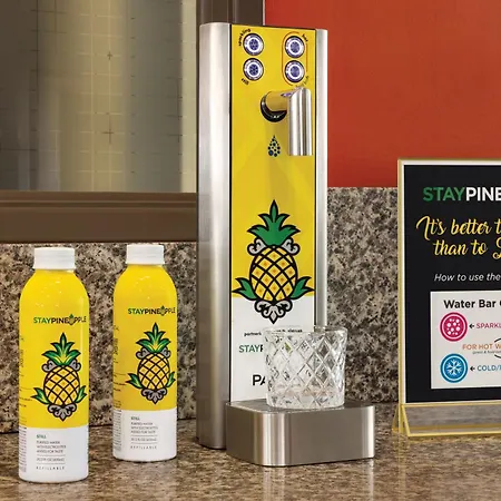 Staypineapple, University Inn, University District Seattle-3
